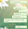 3.PNG