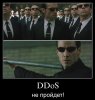 dns-amplification-reflect-attack-ddos-1.jpg