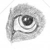 gb546yr6g56y 001.jpg