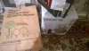 WP_20160727_003.jpg