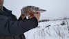 IMG-20190129-WA0024.jpg
