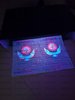5cee4174299ce_photo_2019-05-29_10-56-44.jpg