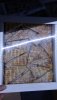 IMG-20160728-WA0001.jpg
