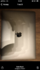 3ECA73BD-8464-4AF7-B849-2D402190C5B5.png