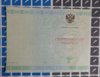 Сертификат специалиста 2014 Оборотная.jpg