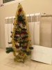 IMG-20161228-WA0006.jpg