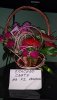IMG-20160919-WA0007.jpg