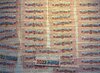 IMG_5689.jpg