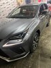IMG_4929.JPG