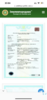 78A13614-2E9F-405D-B845-2C728CCE47F6.png