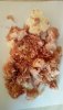 IMG-20170620-WA0005.jpg