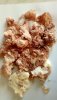 IMG-20170620-WA0006.jpg