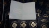 kopii 333.png