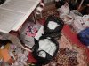 DSCN4978.JPG