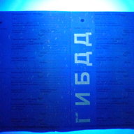 Vitass