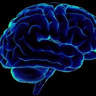 Brain_P