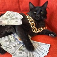 Catbiz