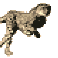 commerc