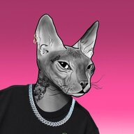 CAT_APE