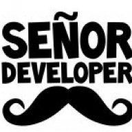 Developer