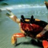 Crab