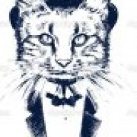 Мистер Кот