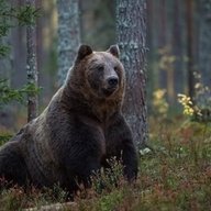 фарт