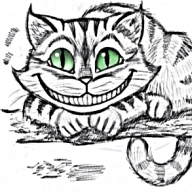 Kotek