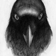 Dark_Raven