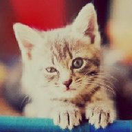 arkan28
