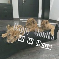 Monika