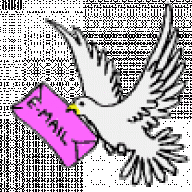 webprofile01