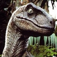 Velociraptor
