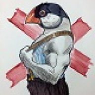 Risovkapro