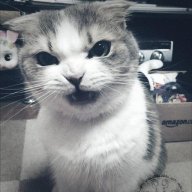 Meumorie