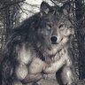 Alex_sc