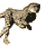 commerc