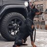 Bazadd