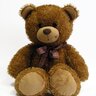 ted925