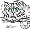 Kotek