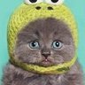 marf@