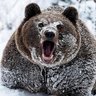 Edward_0174