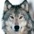 wolf88