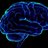 Brain_P