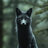 BlackFoxDark