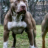 Jora_777