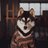 dogechain