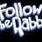 FTRabbit