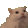 :meow: