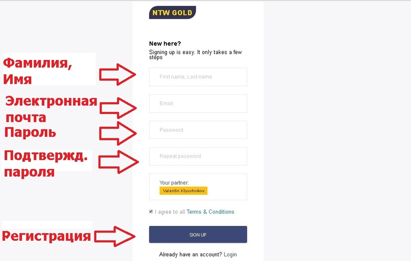 pastenow.ru